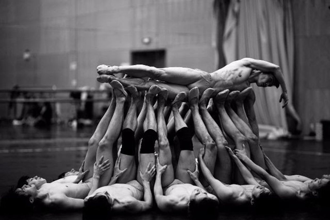 Photo Flash: Glen Tetley Legacy Completes its First Virtual Ballet Staging THE RITE OF SPRING  Image