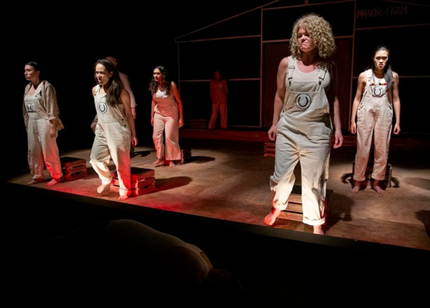 Photo Flash: First Look at New Theatre's ANIMAL FARM Photo Flash: First Look at New Theatre's ANIMAL FARM Image