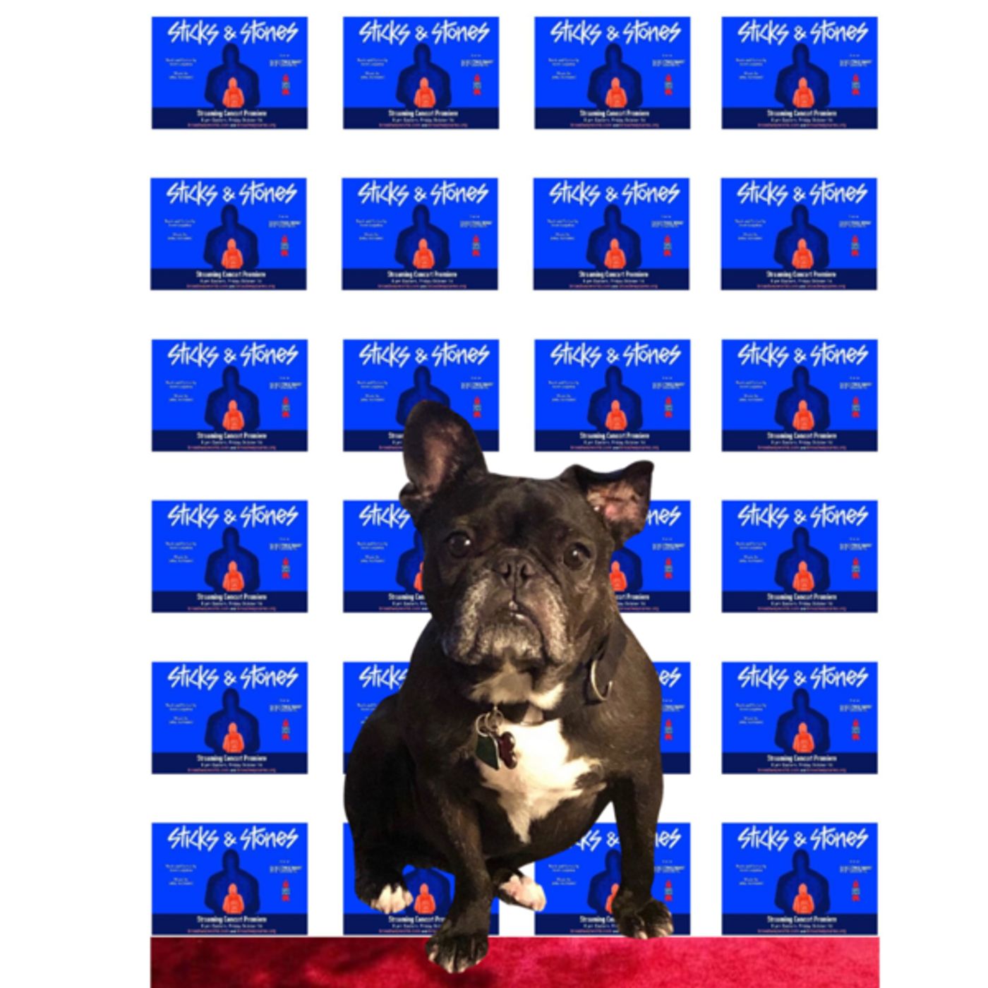 Photo Flash: STICKS & STONES Cast Members Walk the Virtual Red Carpet  Image