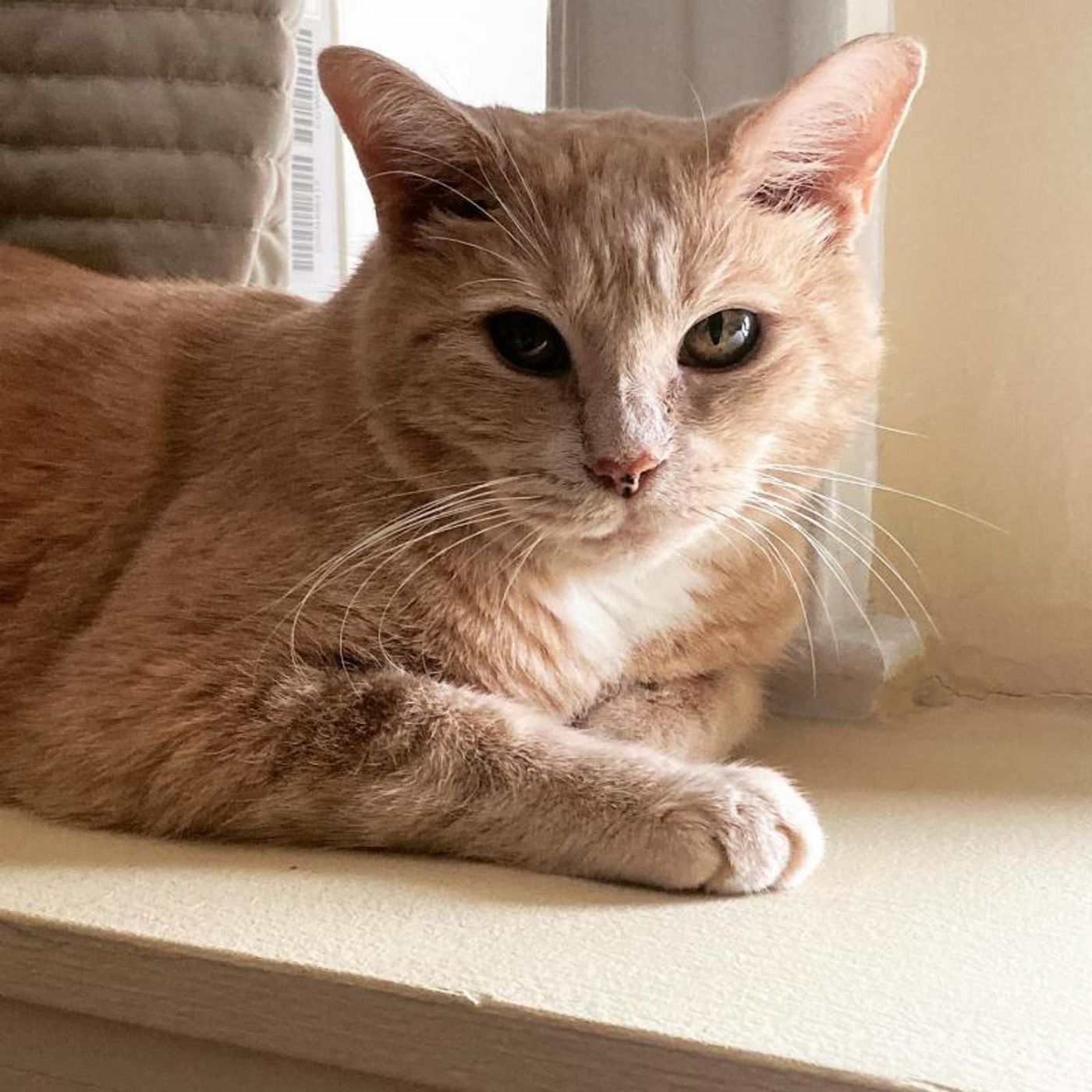 Interview: At Home With Meg Flather  Image