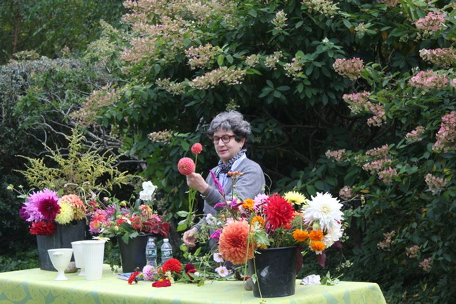 Photo Flash: LongHouse Reserve Celebrates Family Day and Dahlia Day! Image