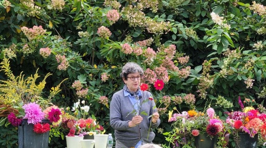 Photo Flash: LongHouse Reserve Celebrates Family Day and Dahlia Day! Image