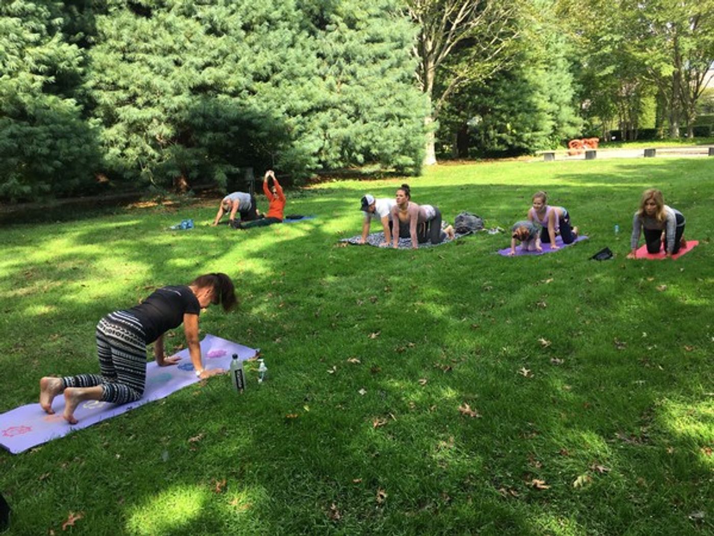 Photo Flash: LongHouse Reserve Celebrates Family Day and Dahlia Day! Photo Flash: LongHouse Reserve Celebrates Family Day and Dahlia Day! Image