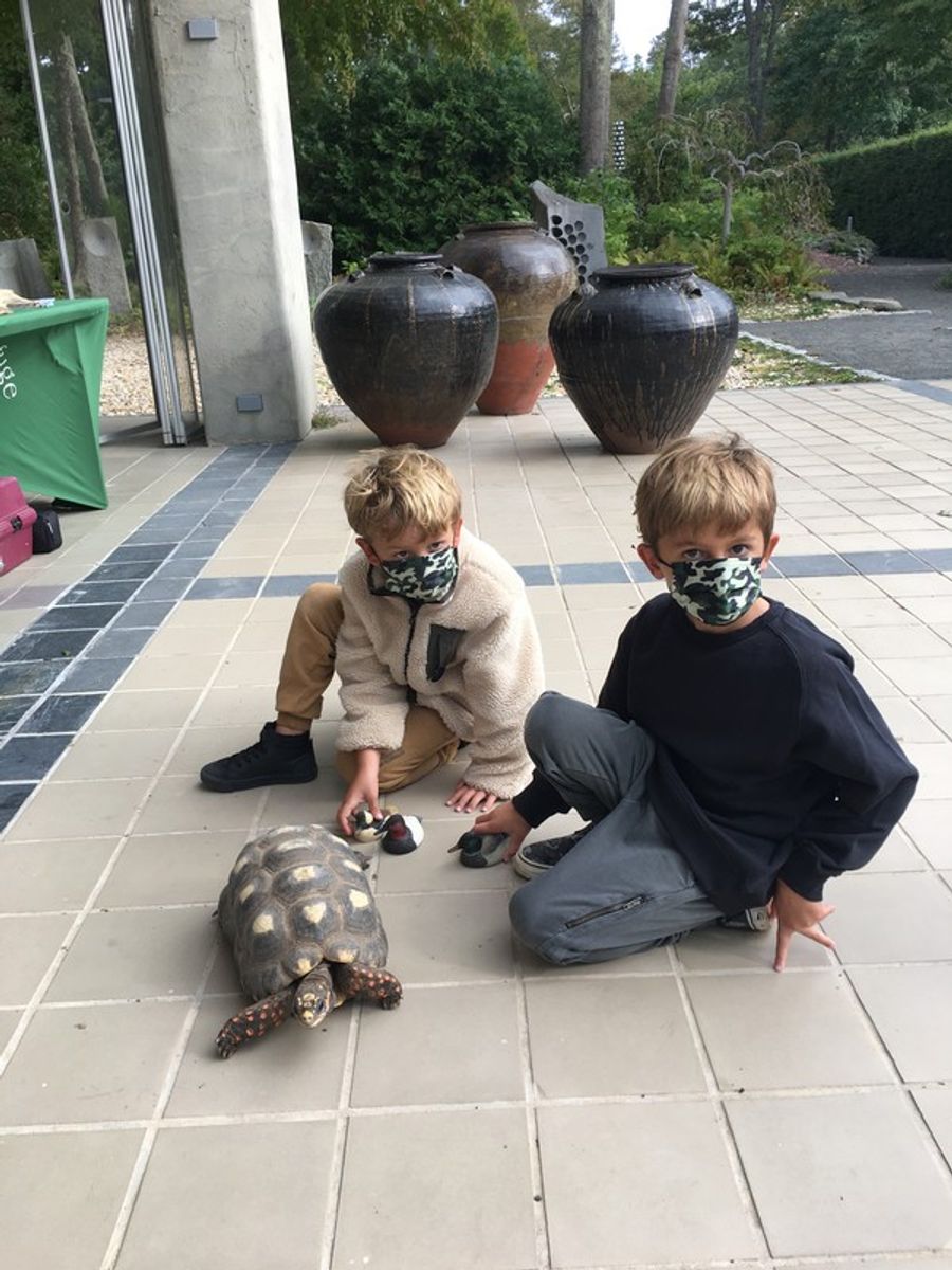 Photo Flash: LongHouse Reserve Celebrates Family Day and Dahlia Day! Image