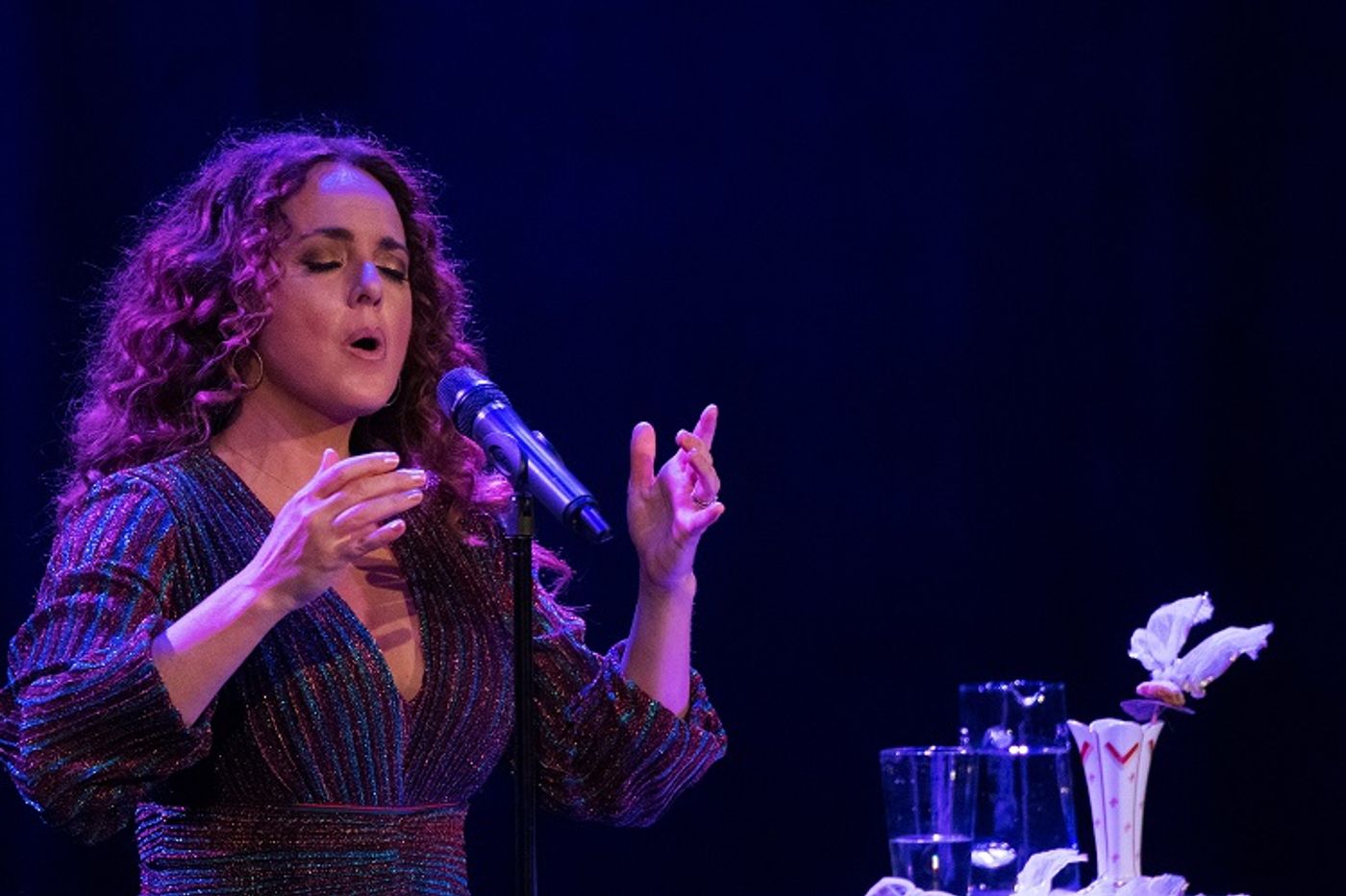 BWW Previews: Melissa Errico and Adam Gopnik Return With Second Concert in fi:af Series On January 28th  Image