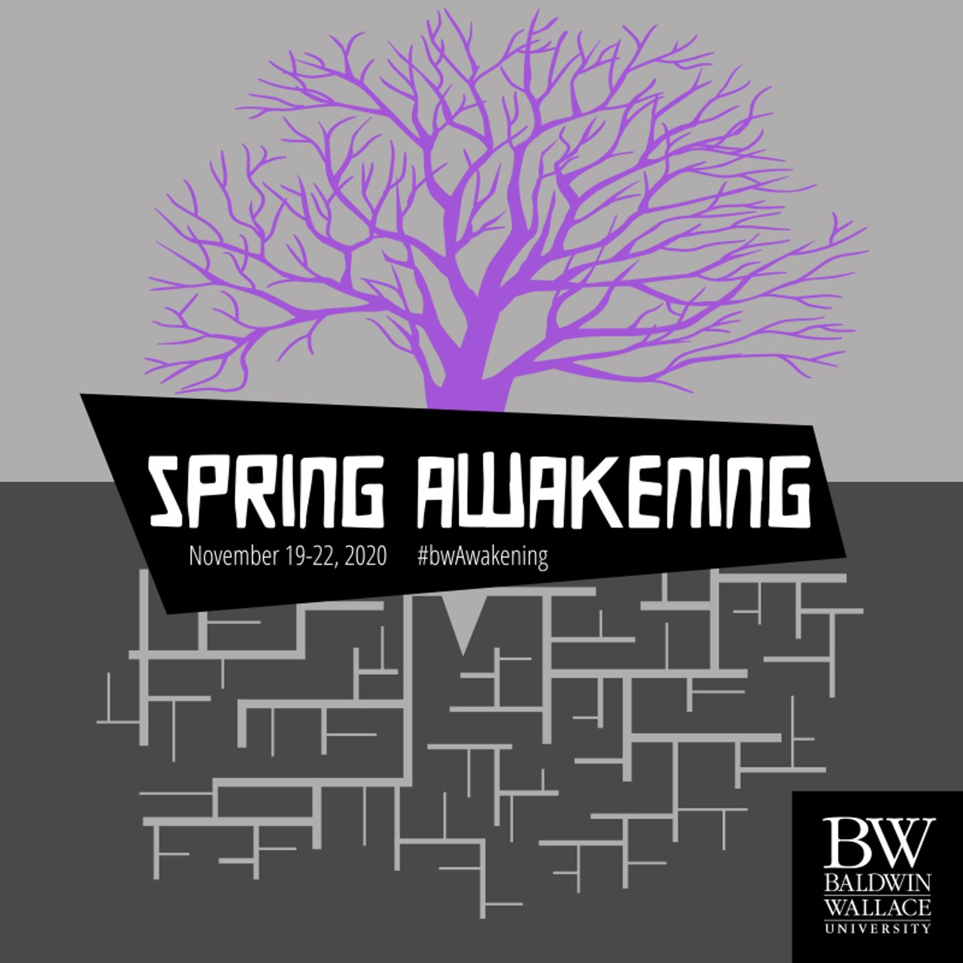 BWW Blog: Marketing SPRING AWAKENING Worldwide  Image