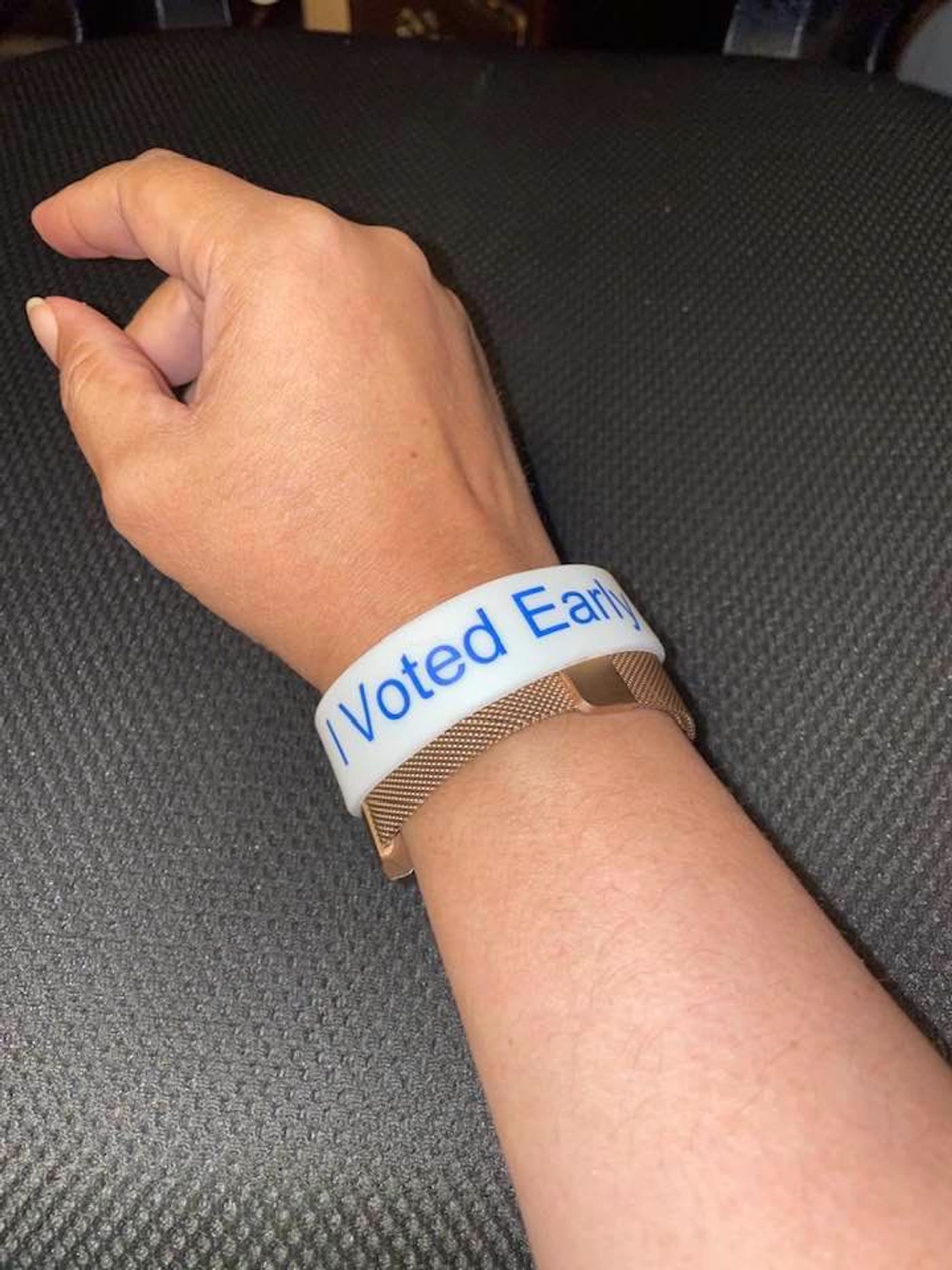 Feature: Cabaret and Concert Artists Flock To Polls For Early Voting  Image