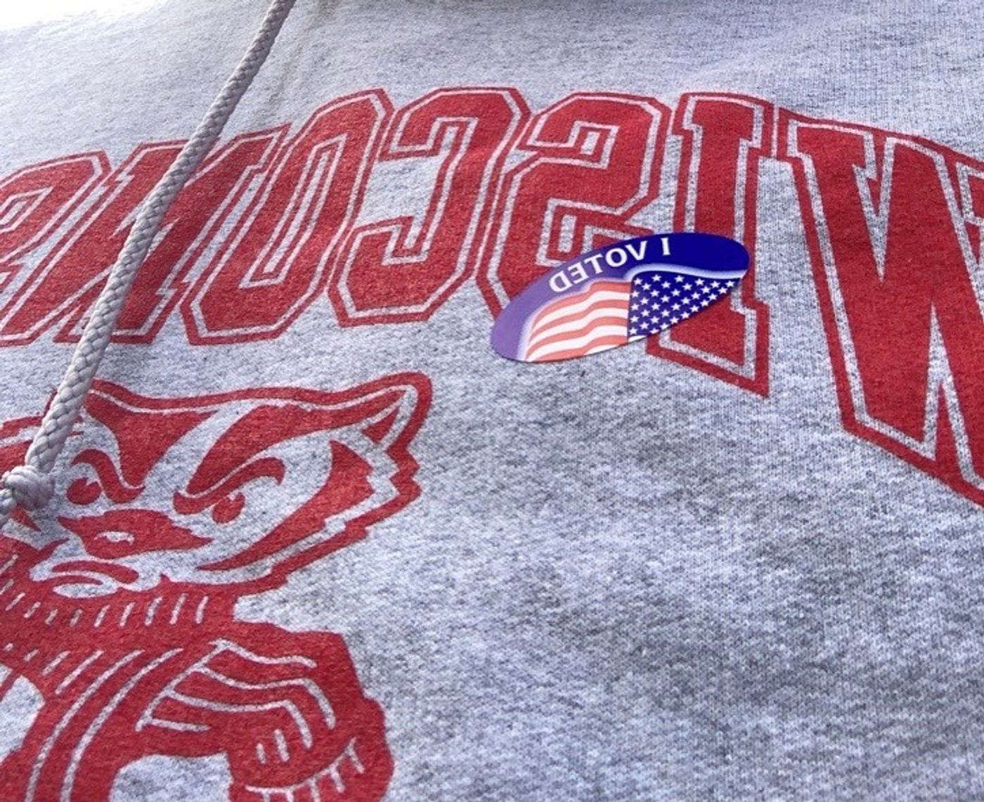 Feature: Cabaret and Concert Artists Flock To Polls For Early Voting  Image