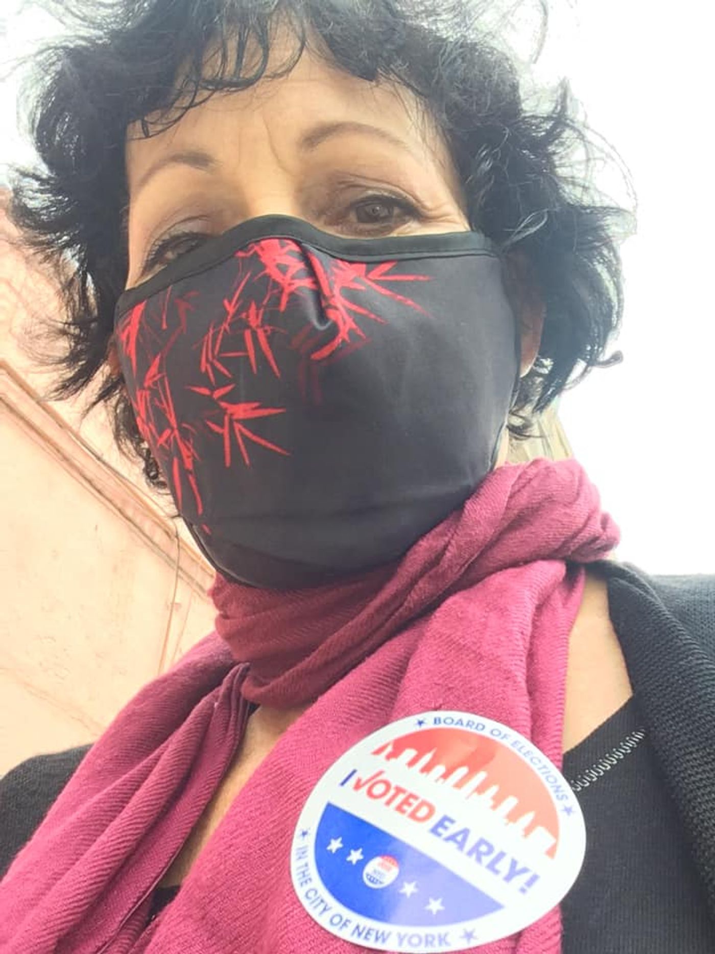 Feature: Cabaret and Concert Artists Flock To Polls For Early Voting  Image