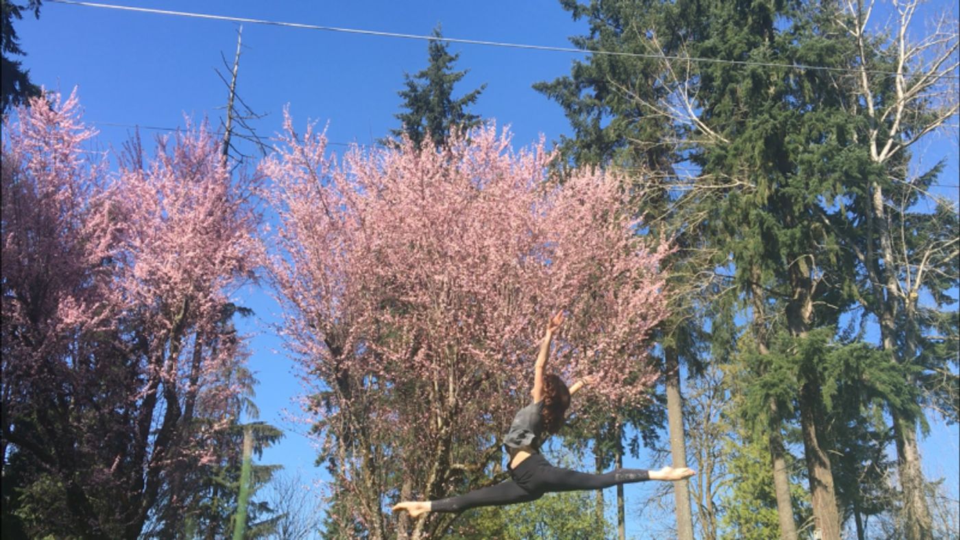 BWW Blog: Choreography in a Time of COVID, Part 1 - Still Making Moves  Image