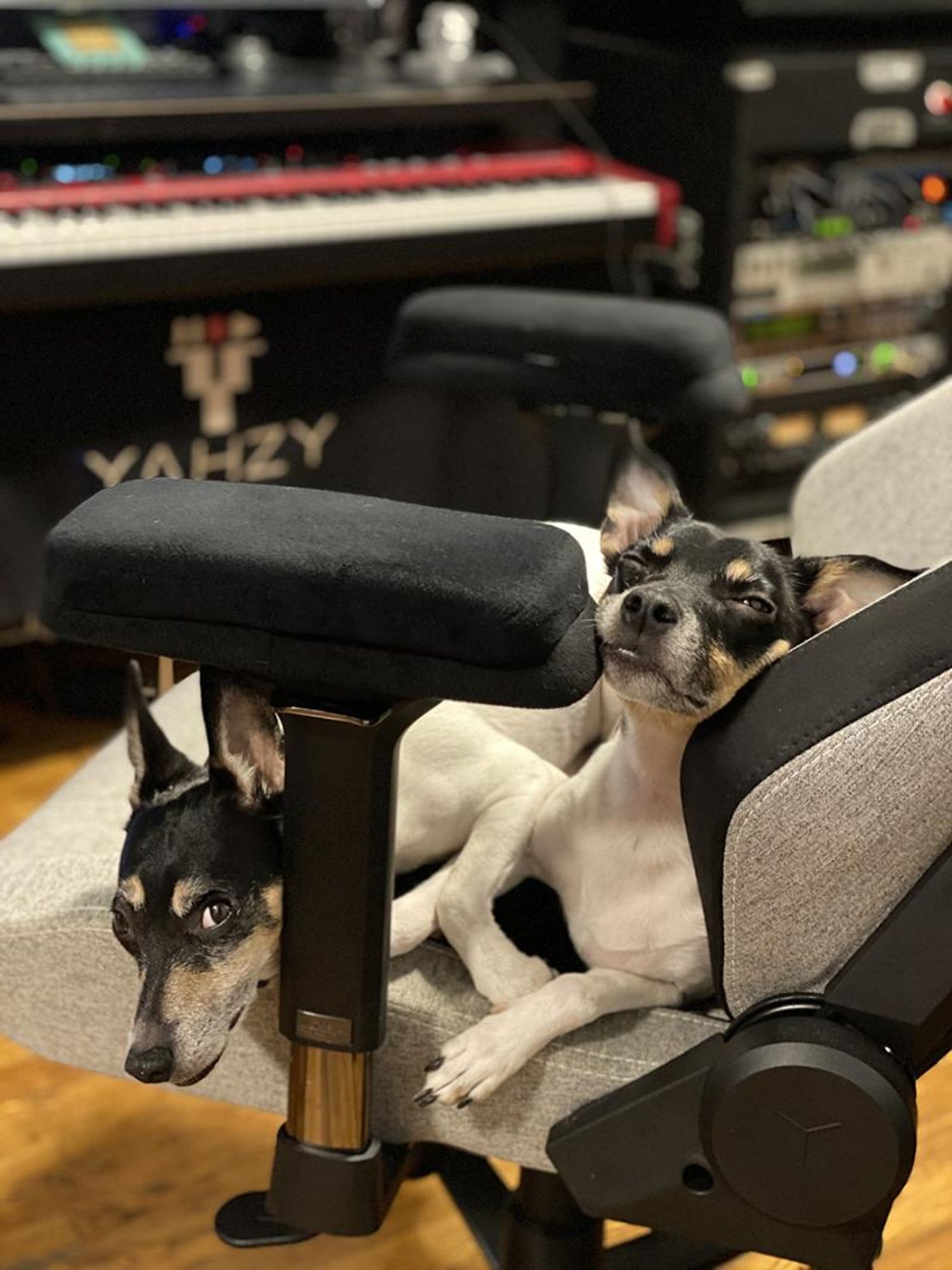 Interview: At Home With Yasuhiko Fukuoka  Image