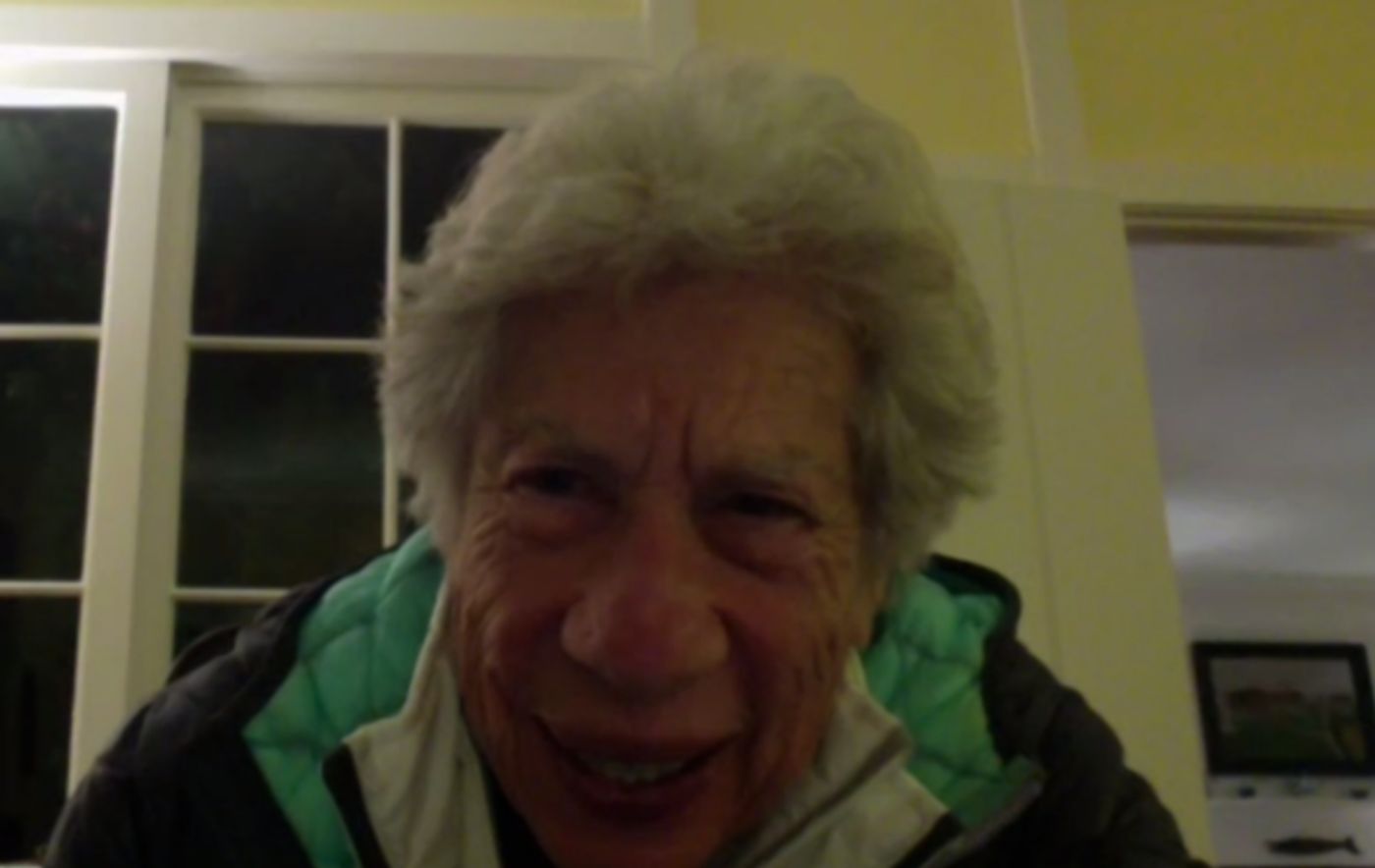 Photo Flash: New York Living Landmarks Celebration Goes Virtual for 2020  Image