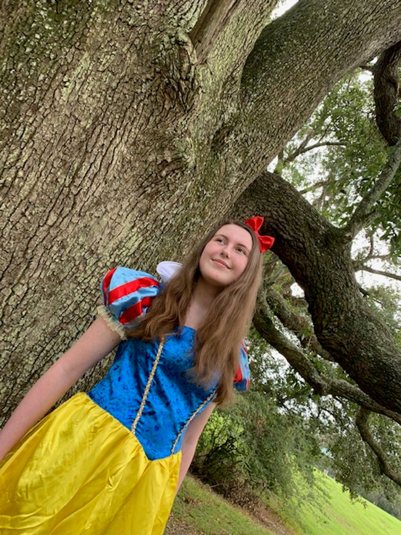 BWW Previews: GAME OF TIARAS turns tragedy into laughter at Playmakers Baton Rouge  Image