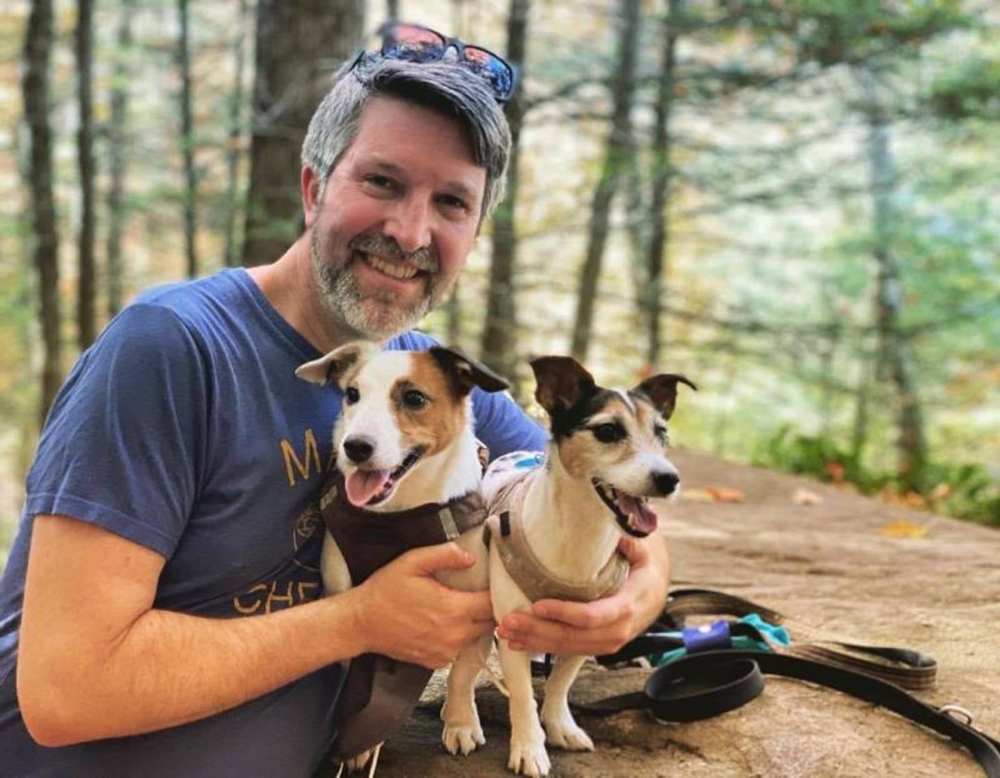 Feature: Cabaret Critters  Image