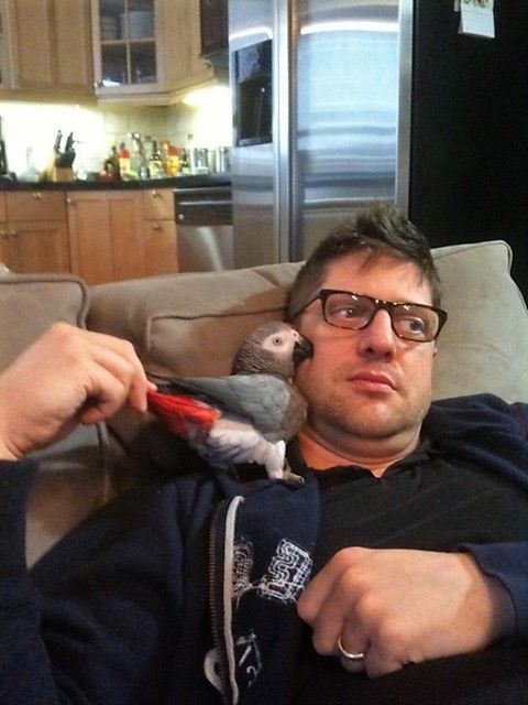 Feature: Cabaret Critters  Image