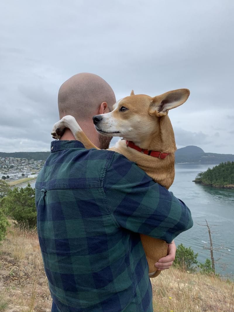 Feature: Cabaret Critters  Image