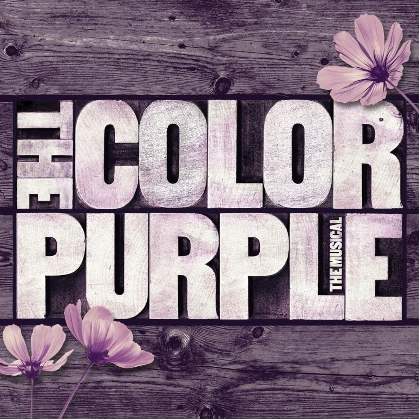 UN DÍA COMO HOY: THE COLOR PURPLE se estrenaba en Broadway  Image