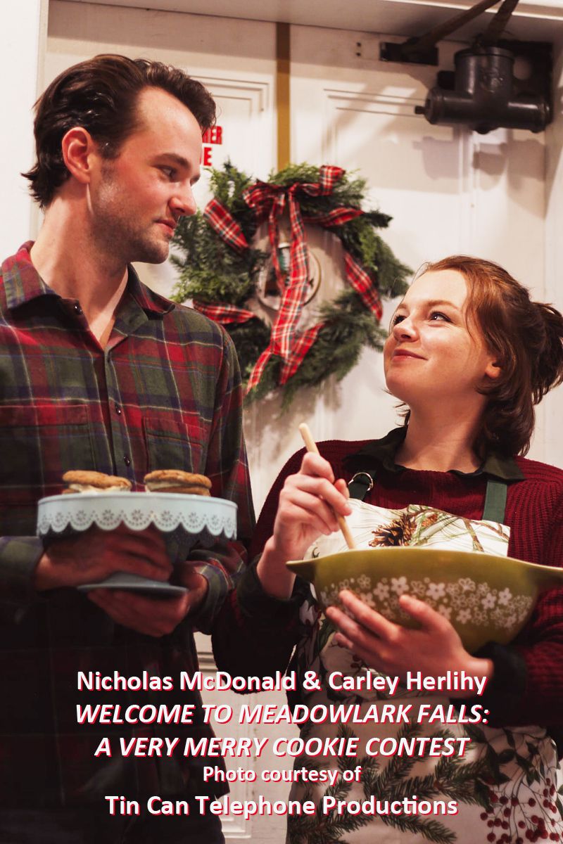 Interview: Lori Meeker - An Artist For CHRISTMAS & All Seasons Image