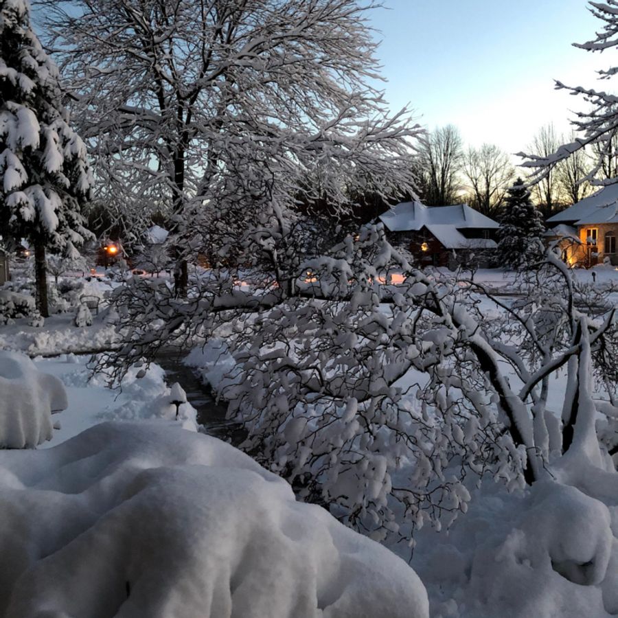 BWW Blog: Tackling Virtual, Remote Finals - Frosty's World #5 Image