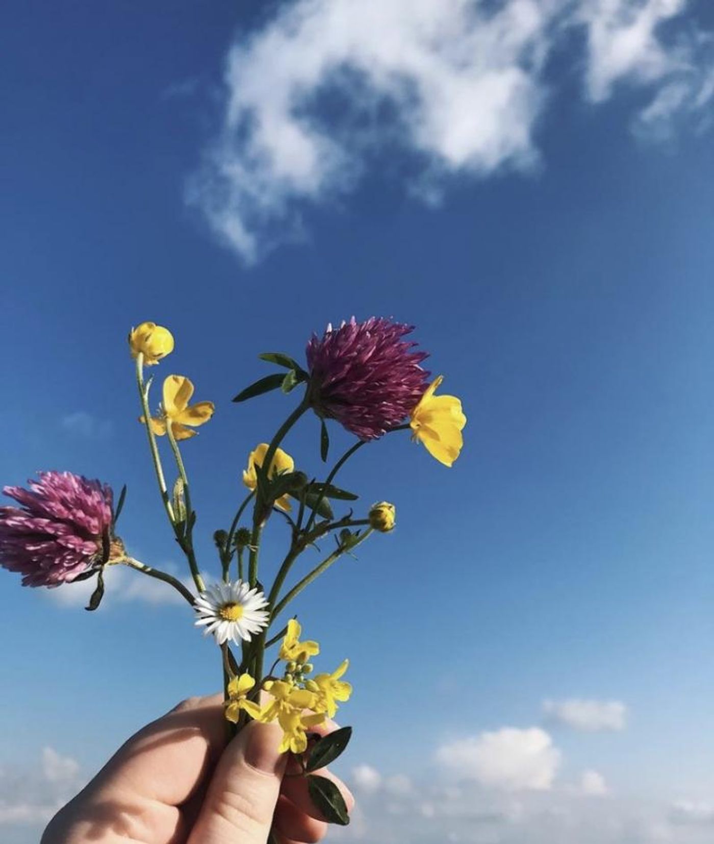 BWW Blog: Am I Always Starting Over?  Image