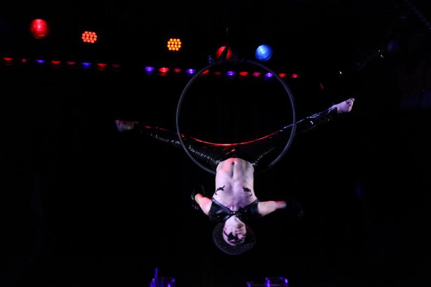 Feature: And The Nominees Are... BEST BURLESQUE SHOW OR ACT Feature: And The Nominees Are... BEST BURLESQUE SHOW OR ACT Image