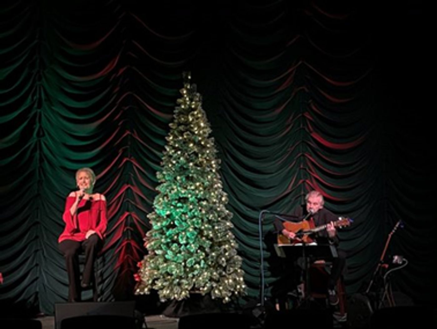 Review: LIZ CALLAWAY: HOME FOR THE HOLIDAYS at Des Moines Playhouse: An Intimate Holiday Concert  Image