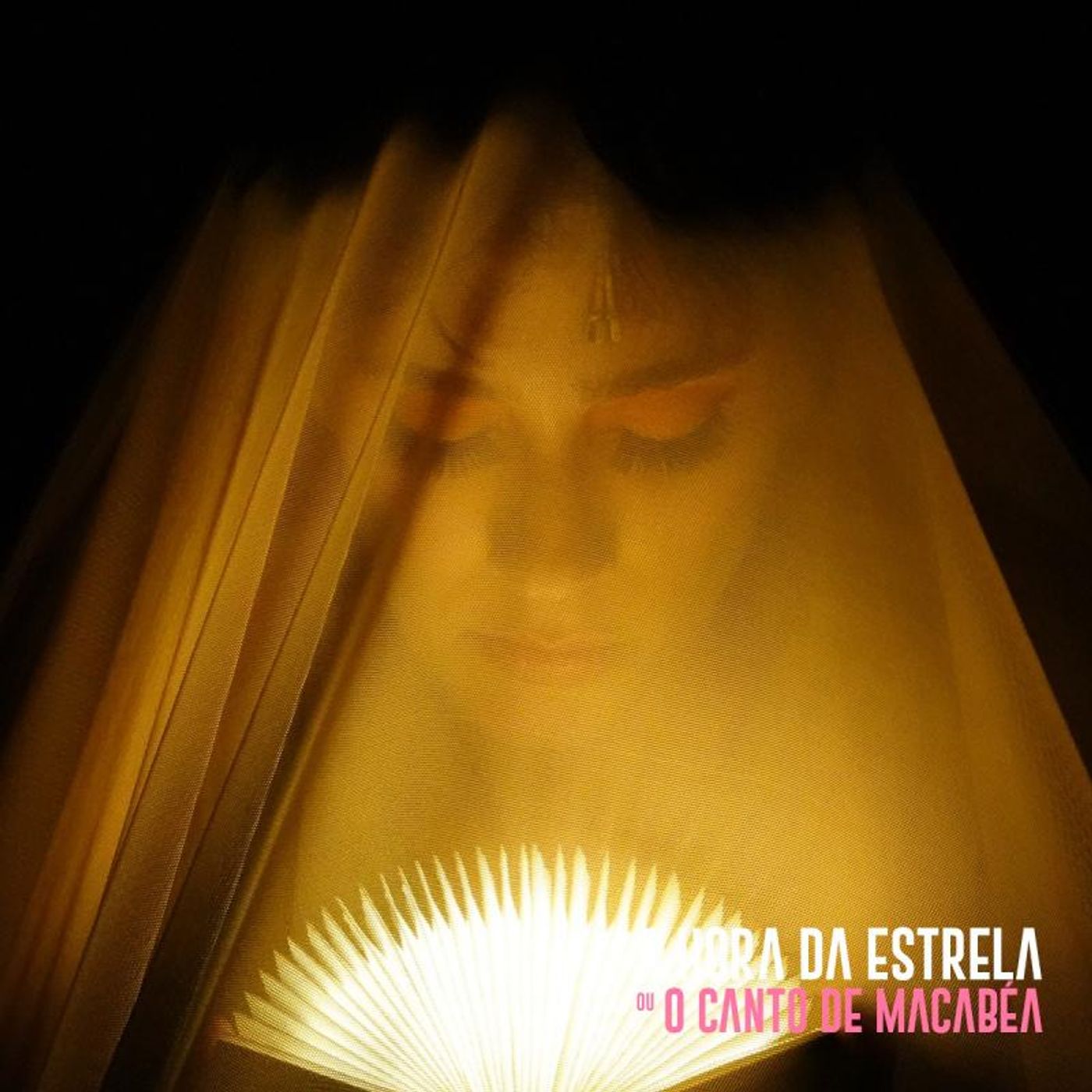 Review: Live broadcast of musical A HORA DA ESTRELA or CANTO DE MACABEA, with Laila Garin, celebrates the centenary of Clarice Lispector  Image