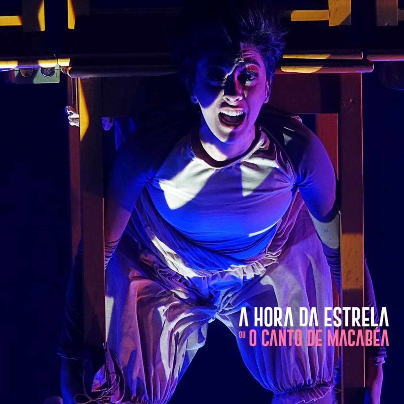 Review: Live broadcast of musical A HORA DA ESTRELA or CANTO DE MACABEA, with Laila Garin, celebrates the centenary of Clarice Lispector  Image