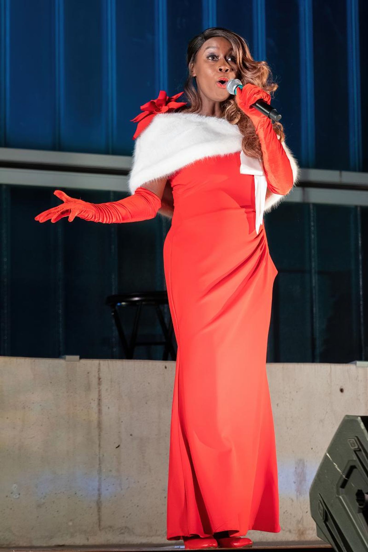 Photo Flash: ZACH Theatre Presents Songs Under the Stars: A ROCKIN' HOLIDAY CONCERT  Image