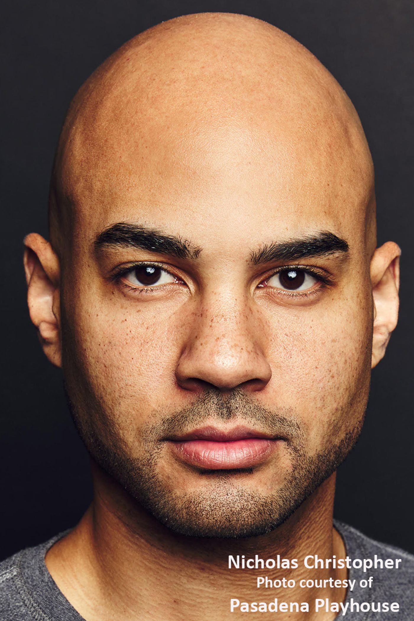 Interview: HAMILTON Mainstay Nicholas Christopher Takes On HERMAN's YOU I LIKE Interview: HAMILTON Mainstay Nicholas Christopher Takes On HERMAN's YOU I LIKE Image