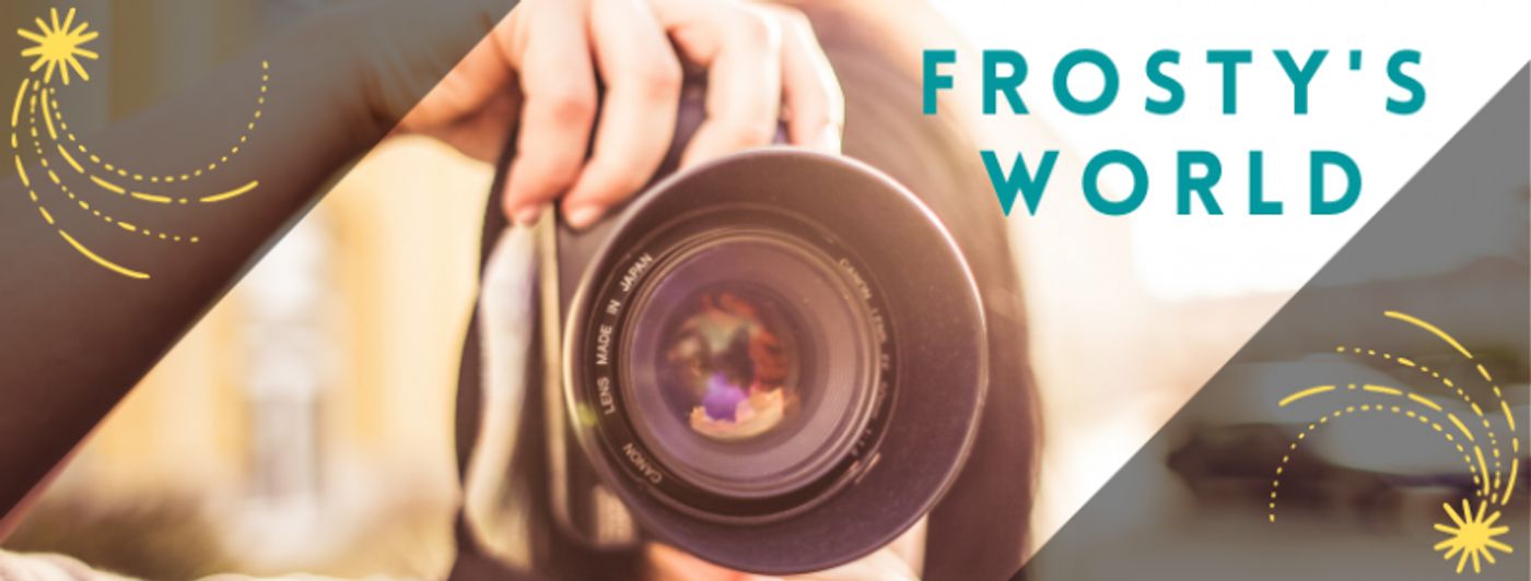 BWW Blog: The Generosity of the Arts Community is All Around Us - Frosty's World #7  Image