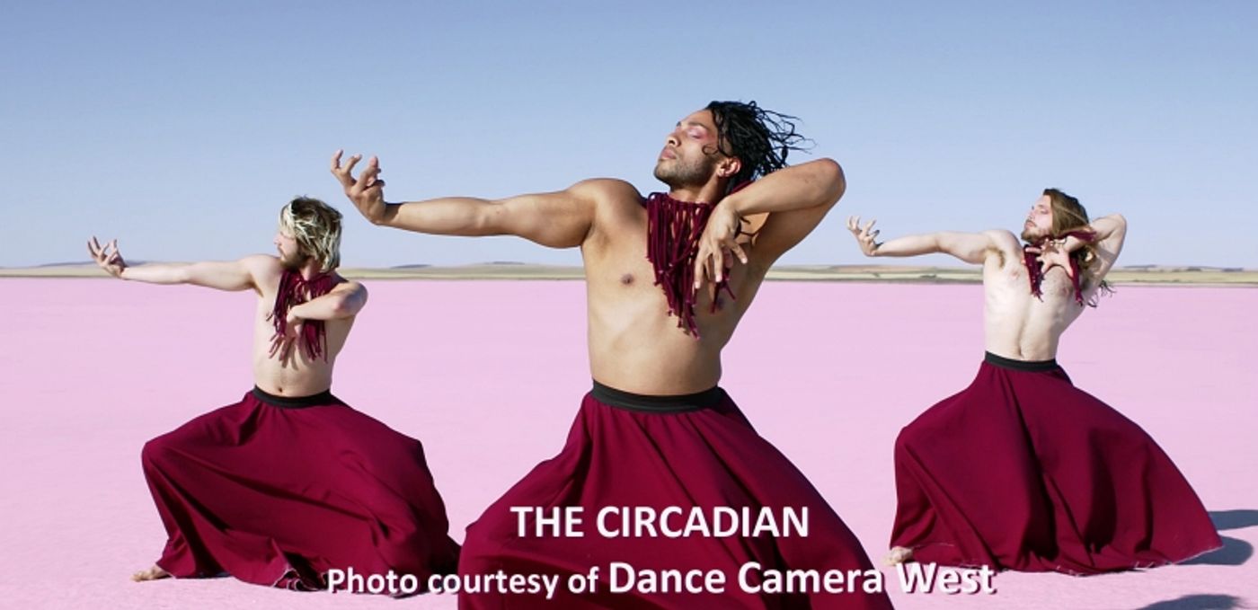 Interview: Kelly Hargraves Deftly DRIVEs IN Her DANCE CAMERA WEST  Image