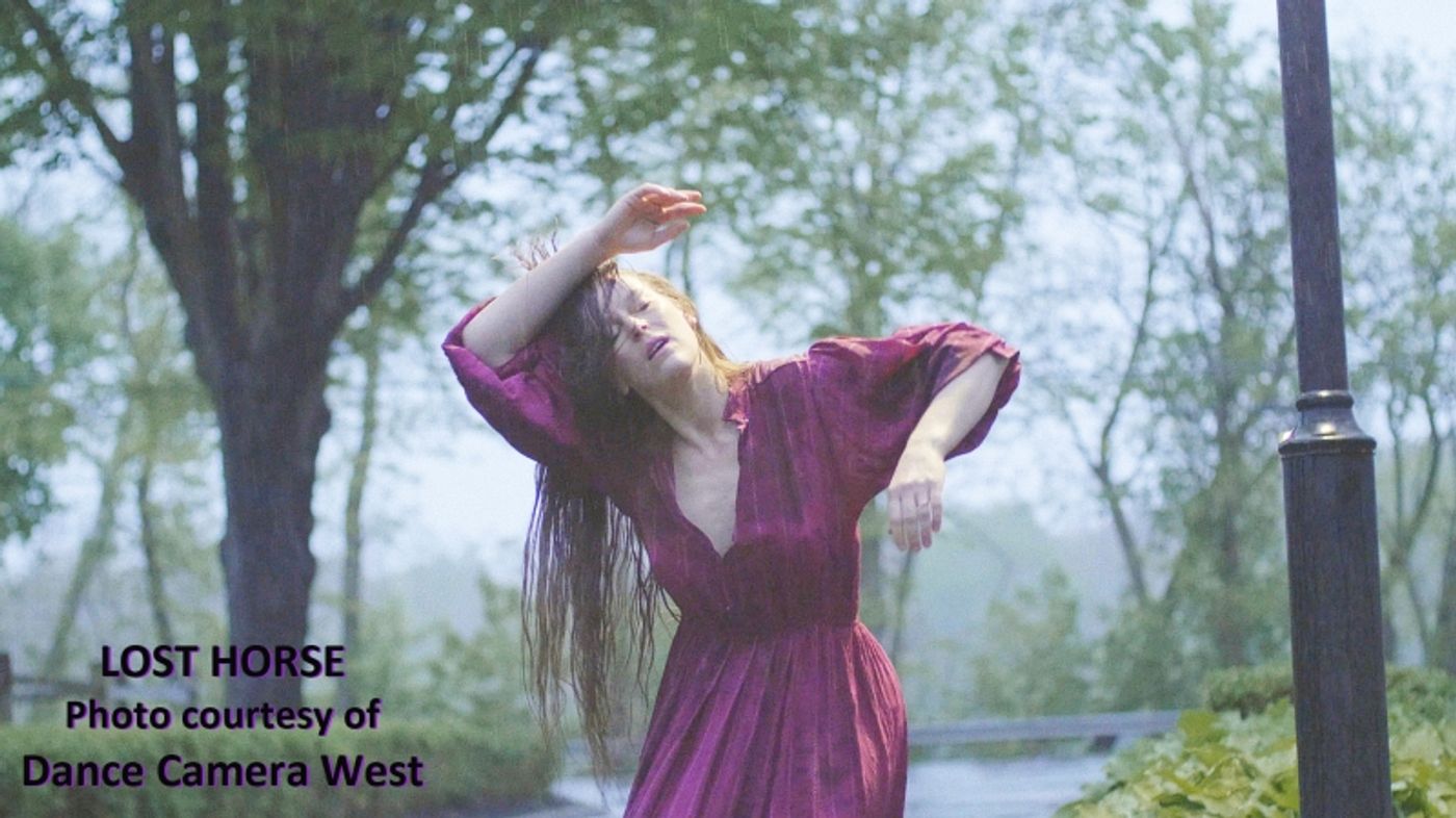 Interview: Kelly Hargraves Deftly DRIVEs IN Her DANCE CAMERA WEST  Image