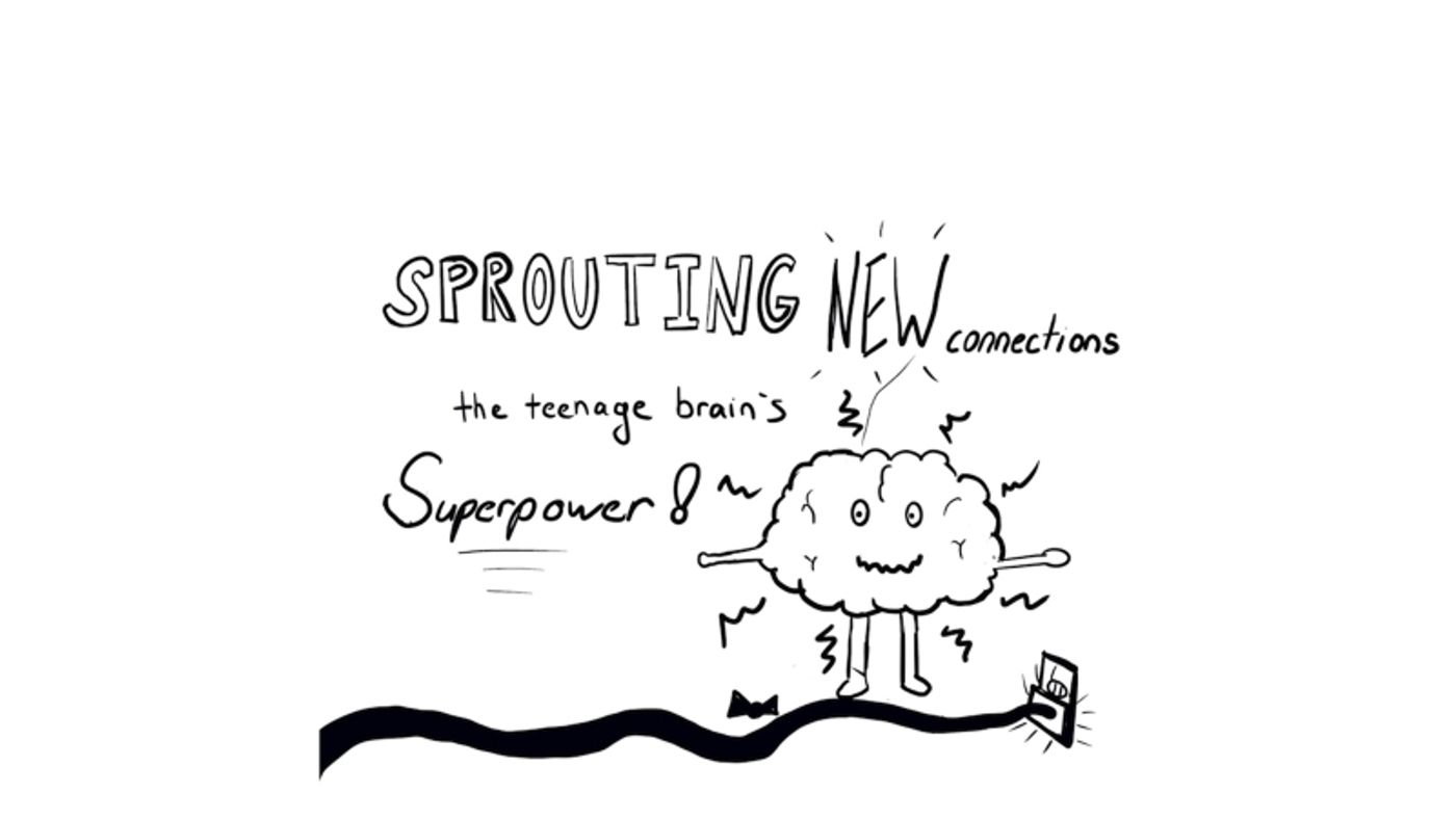 Review: BRAINSTORM: THE INSIDE LIFE OF THE TEENAGE MIND NOW STREAMING AND ON DEMAND at Coterie Theatre  Image