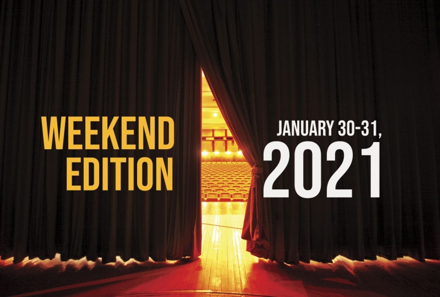 Virtual Theatre This Weekend: January 30-31- with Barrett Foa, Lesli Margherita and More!  Image