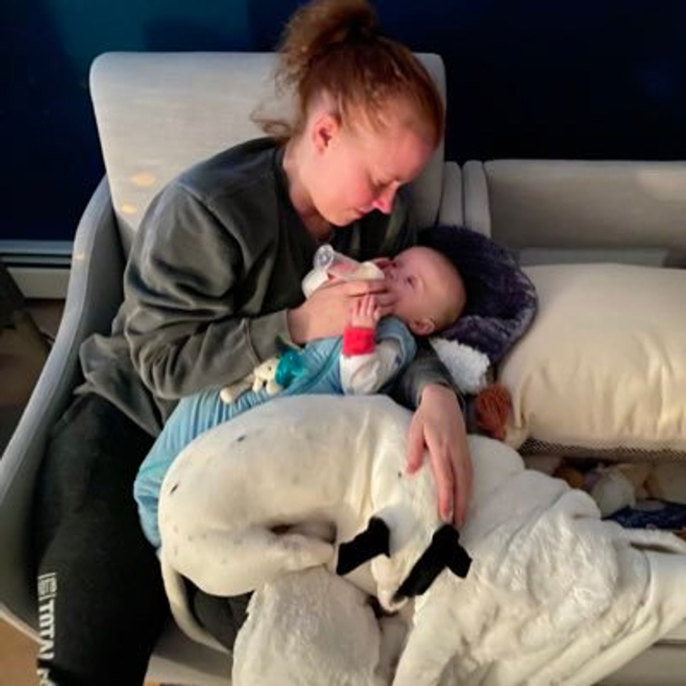 BroadwayWorld's 100 People To Follow on Twitter in 2021  Image