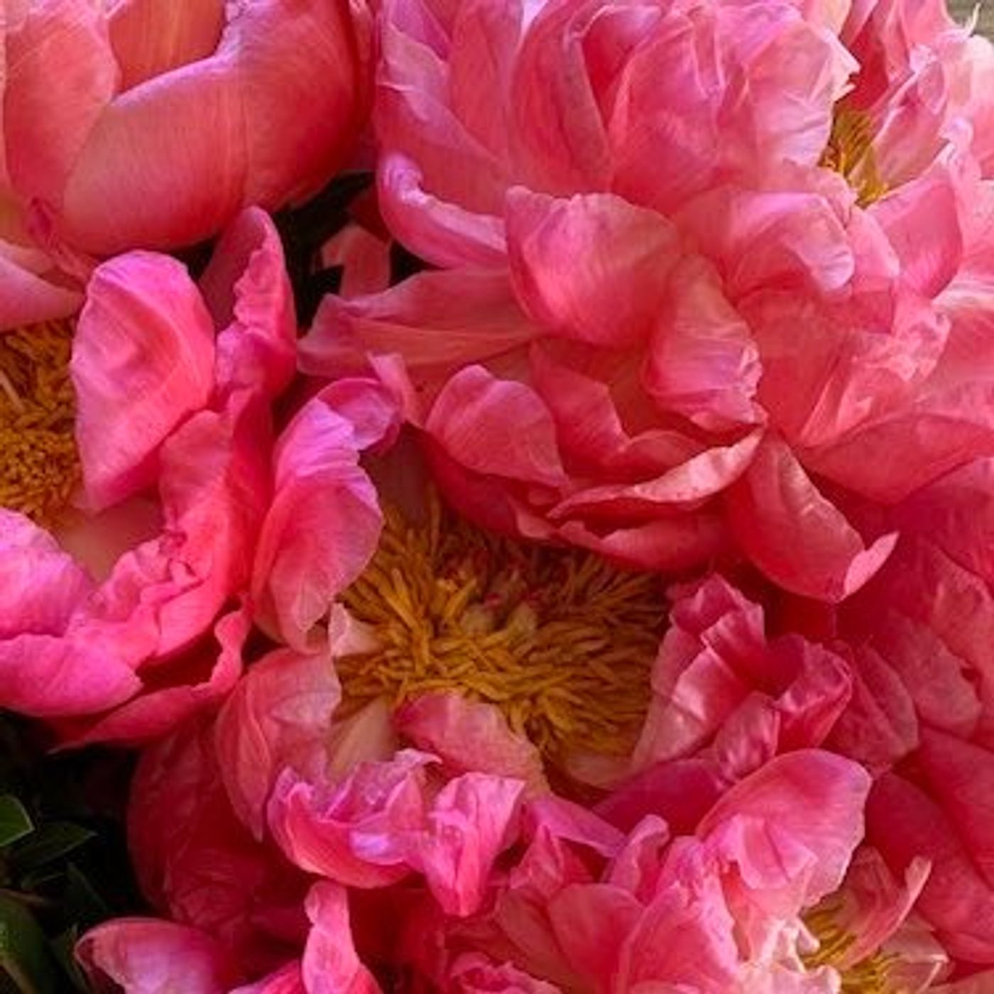 BroadwayWorld's 100 People To Follow on Twitter in 2021  Image