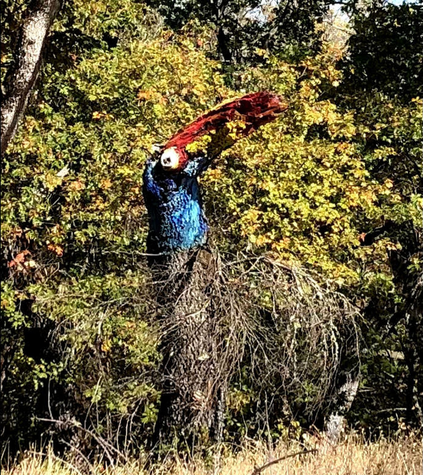 Interview: Linda Purl And Patrick Duffy Take a Chance On Love And Win  Image