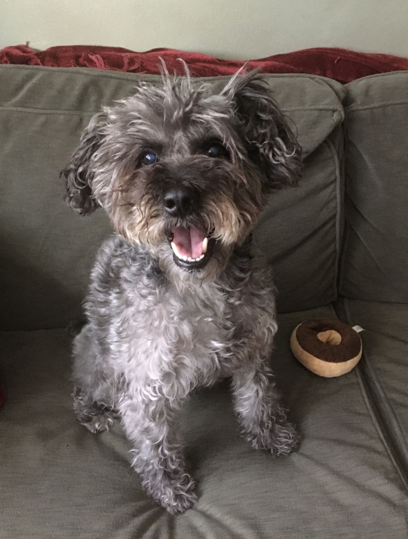 Interview: At Home With ME, MYSELF, AND EVERYONE ELSE Star Christina Bianco  Image