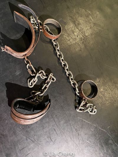 Shackles Photo