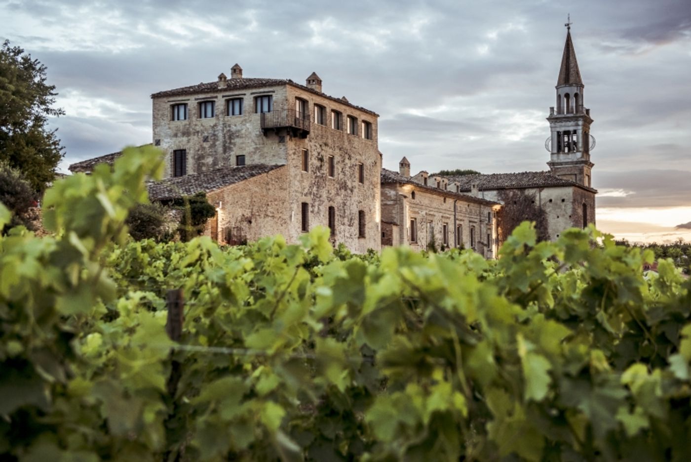 Miriam Lee Masciarelli and Fine Italian MASCIARELLI WINES Miriam Lee Masciarelli and Fine Italian MASCIARELLI WINES Image