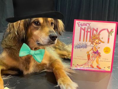 Virtual Musical Storytime with Bravo the Theatre Dog Photo