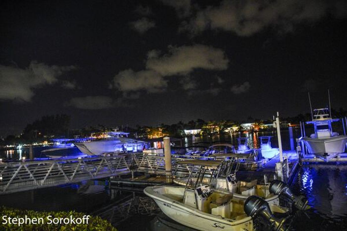 Photo Coverage: Carole J. Bufford Launches New Cabaret Series at Harbourside Place Amphitheater  Image