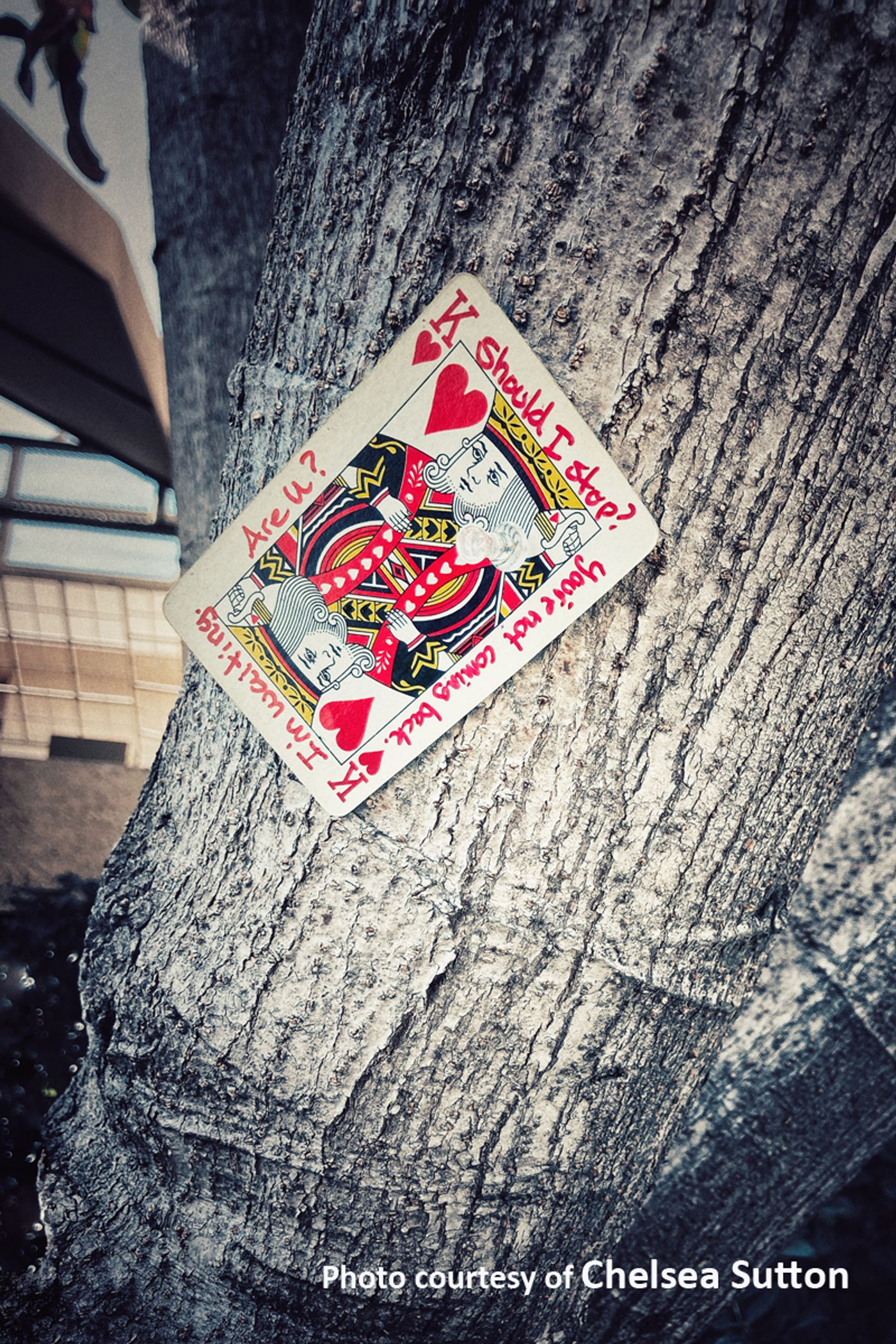 Interview: Chelsea Sutton Reveals The Personal Significance of Creating SPITE & MALICE  Image