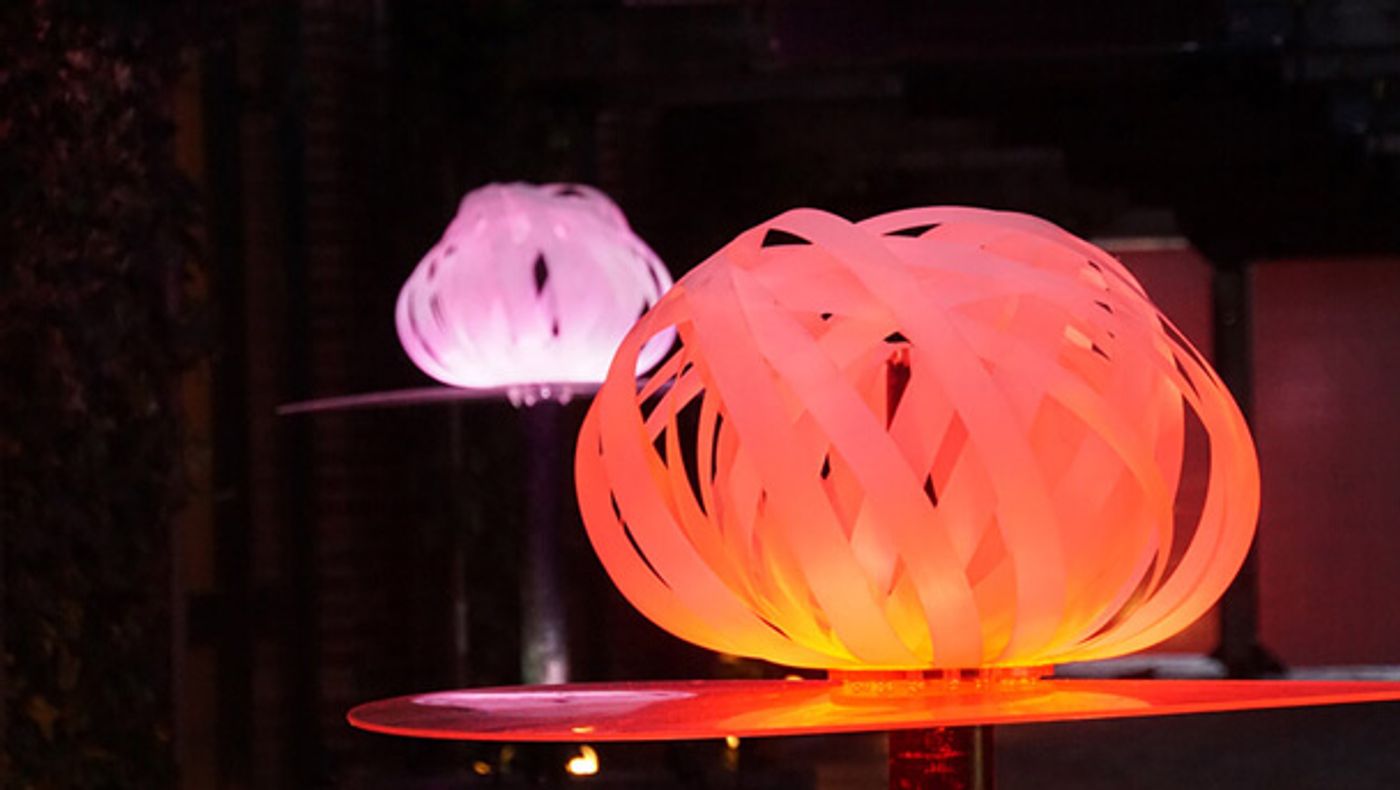 Interview | Zara Pasfield and Renzo B.Larriviere, co-creators of Photosynthesis Ballet: Florescenti  Image