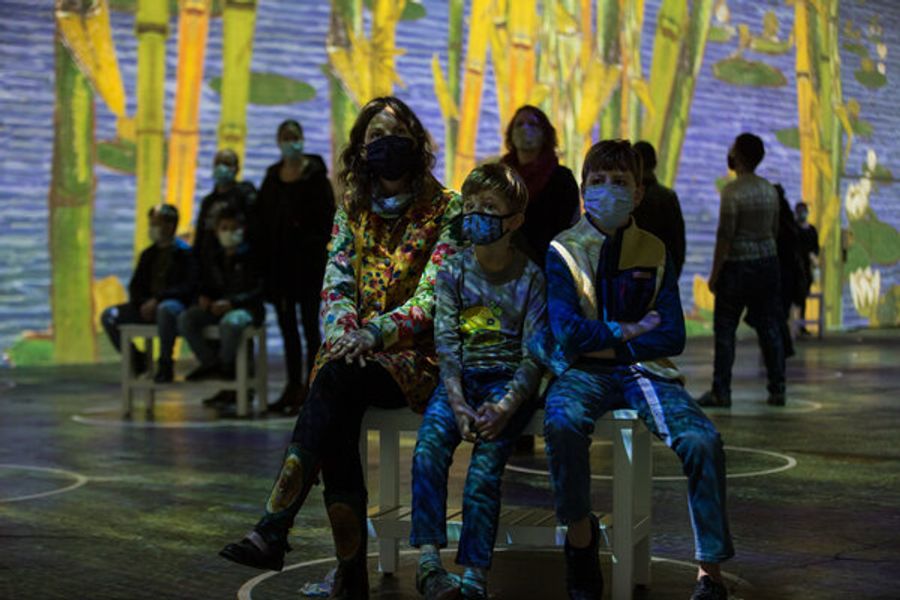 Photo Flash: Inside IMMERSIVE VAN GOGH San Francisco Exhibiton Image