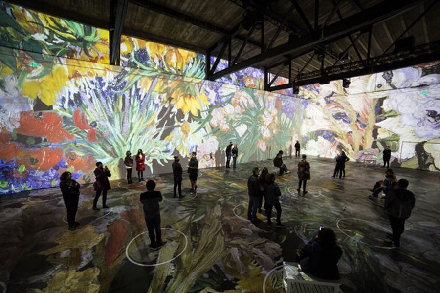 Photo Flash: Inside IMMERSIVE VAN GOGH San Francisco Exhibiton Image
