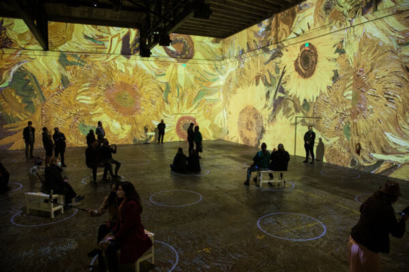 Photo Flash: Inside IMMERSIVE VAN GOGH San Francisco Exhibiton  Image