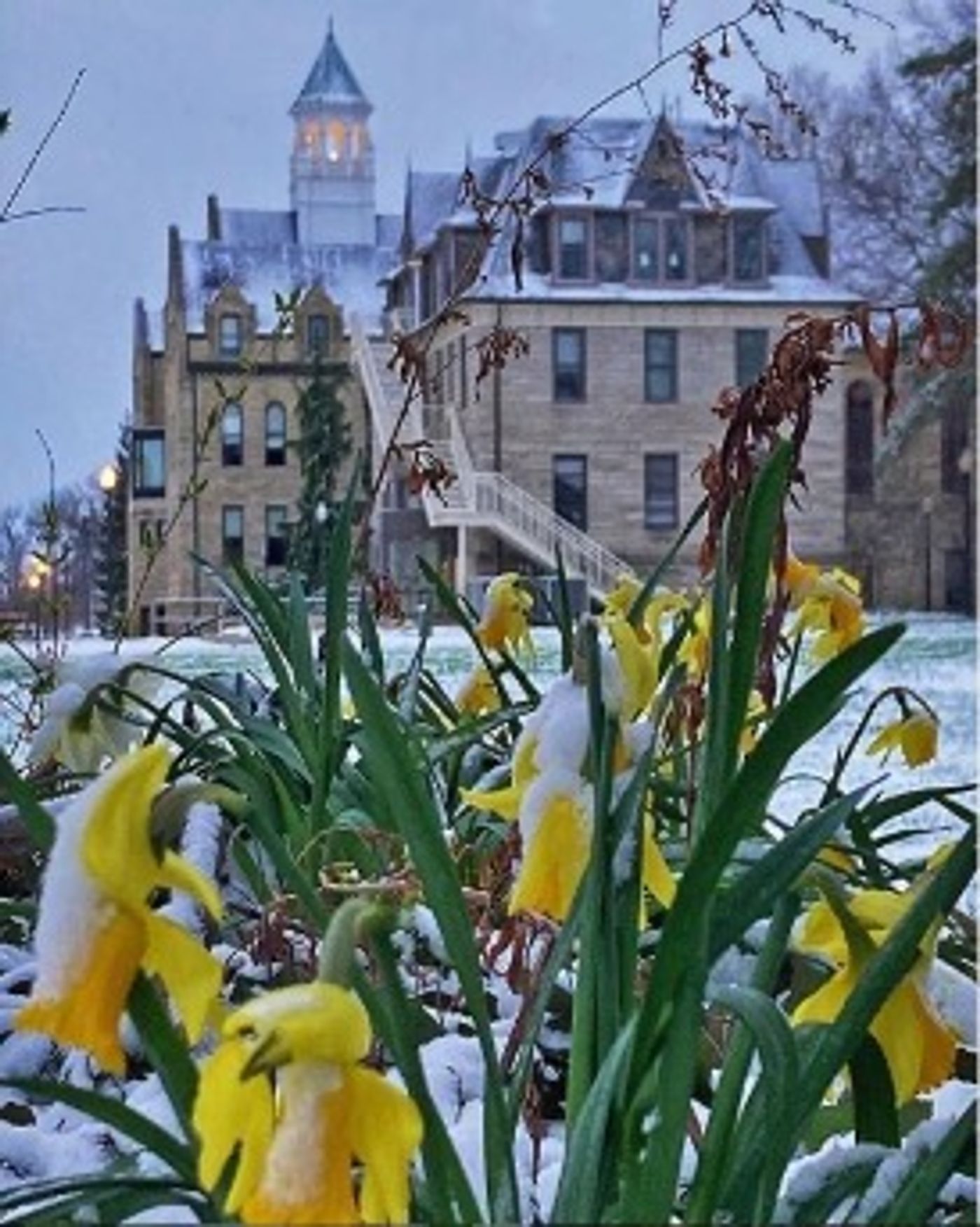 Student Blog: Geology and Dance Rock - Frosty's World #13  Image