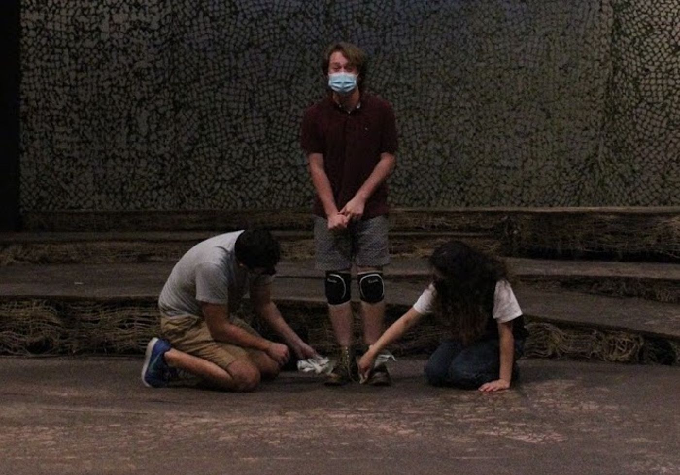 Student Blog: The Whole Truth  Image